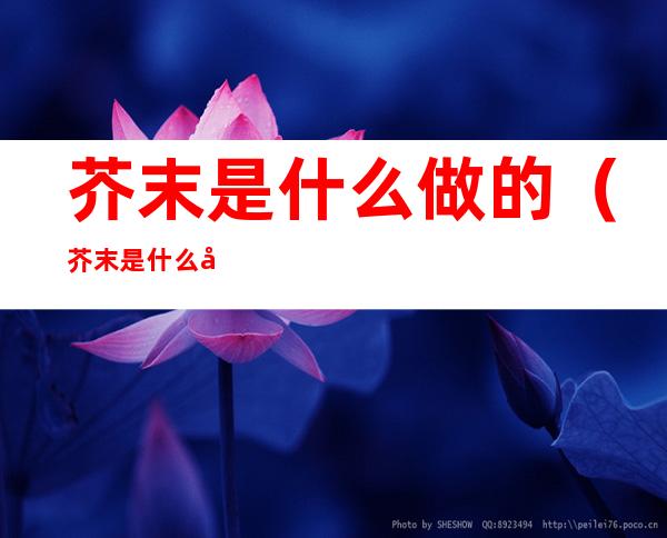 芥末是什么做的(芥末是什么做的图片)