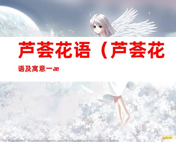 芦荟花语（芦荟花语及寓意一样的人）