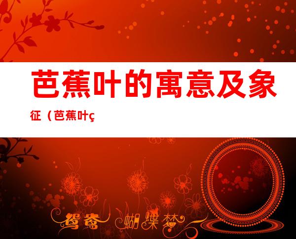 芭蕉叶的寓意及象征(芭蕉叶的寓意及象征意义)
