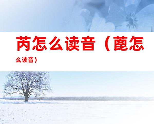 芮怎么读音(蓖怎么读音)