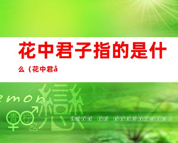 花中君子指的是什么（花中君子指的是什么意思）