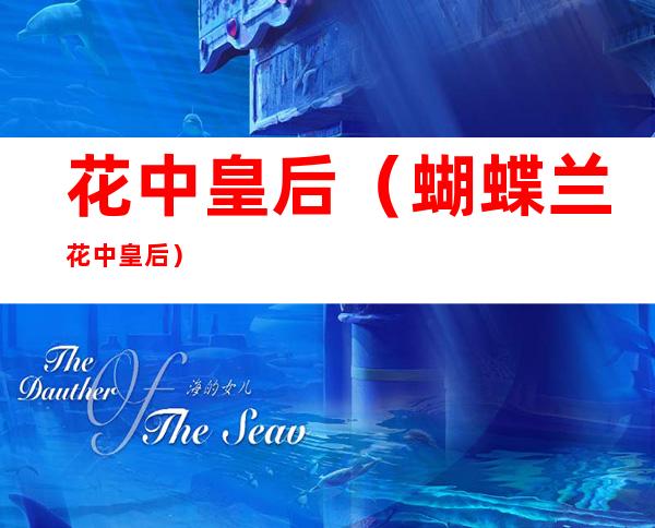 花中皇后(蝴蝶兰花中皇后)