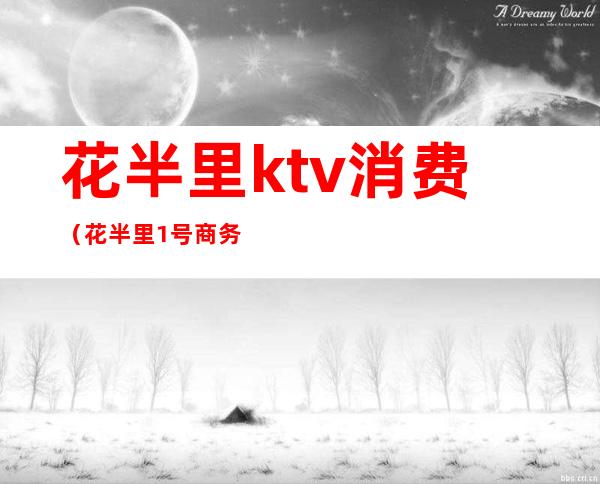 花半里ktv消费(花半里1号商务ktv)