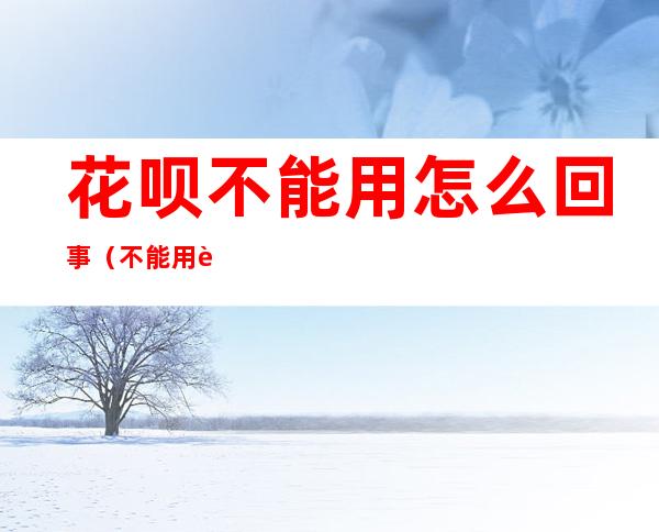 花呗不能用怎么回事(不能用花呗了怎么回事)