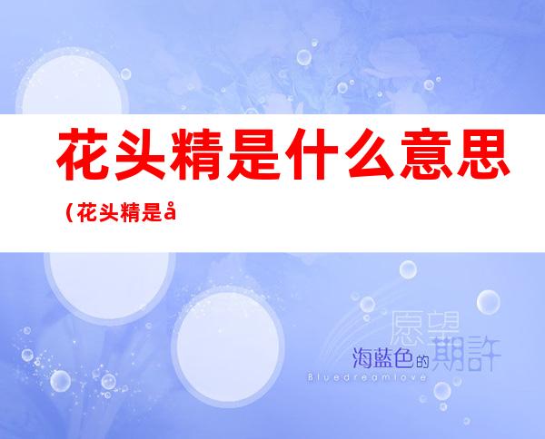 花头精是什么意思（花头精是哪里话）