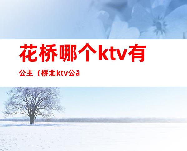 花桥哪个ktv有公主(桥北ktv公主)