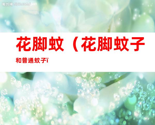 花脚蚊(花脚蚊子和普通蚊子)