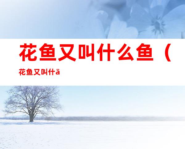 花鱼又叫什么鱼(花鱼又叫什么鱼类)