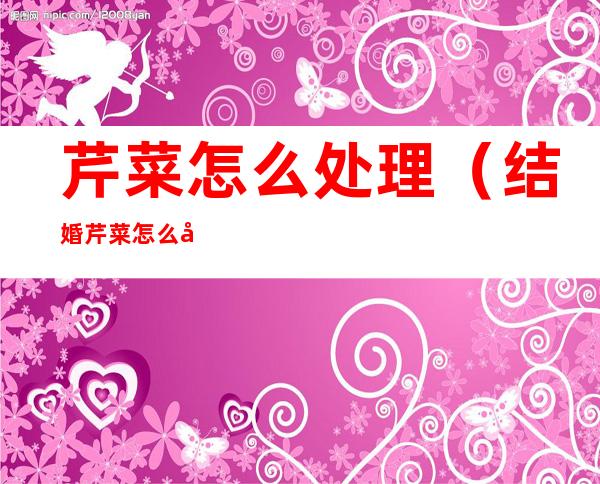 芹菜怎么处理(结婚芹菜怎么处理)