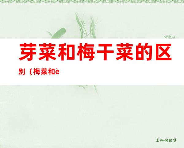 芽菜和梅干菜的区别(梅菜和芽菜一样吗)