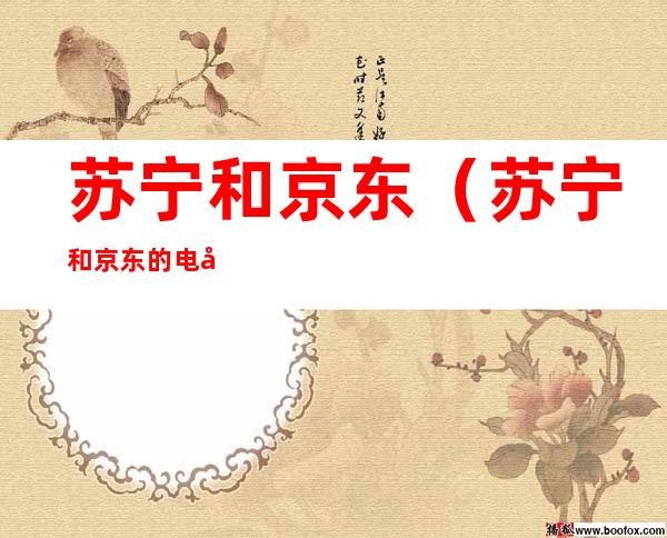 苏宁和京东(苏宁和京东的电器哪家好)