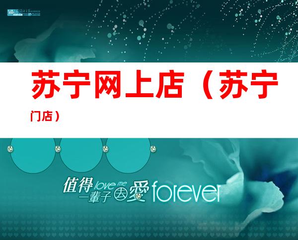 苏宁网上店(苏宁 门店)
