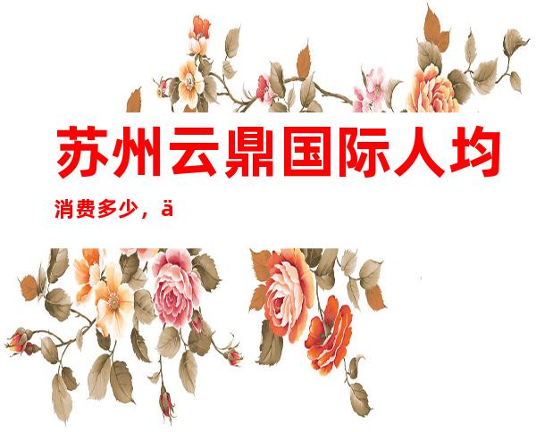 苏州云鼎国际人均消费多少，云鼎国际有没有畅饮活动？