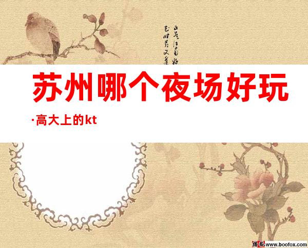 苏州哪个夜场好玩·高大上的ktv夜总会深夜也可以沸腾预定