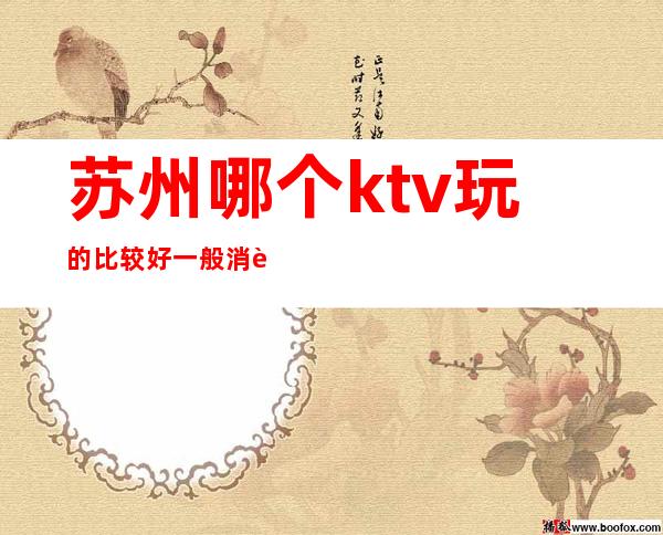苏州哪个ktv玩的比较好一般消费多少好耍玩的疯 – 苏州园区商务KTV