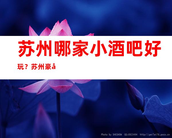 苏州哪家小酒吧好玩？苏州豪华十大小酒吧排行