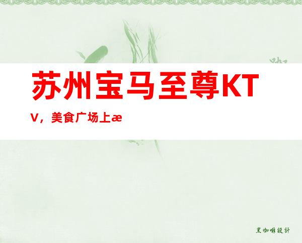 苏州宝马至尊KTV，美食广场上最热闹好玩的夜总会