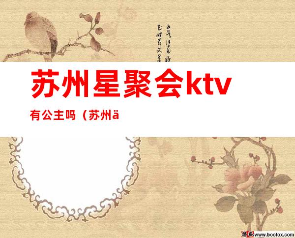 苏州星聚会ktv有公主吗(苏州中心星聚会ktv)