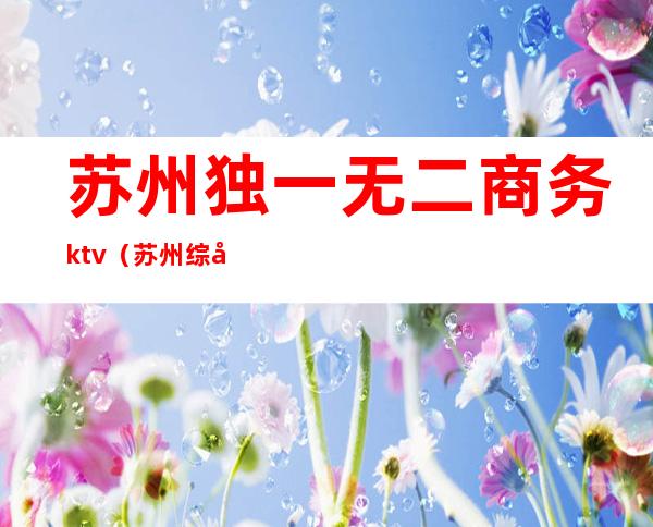 苏州独一无二商务ktv(苏州综合商务城)