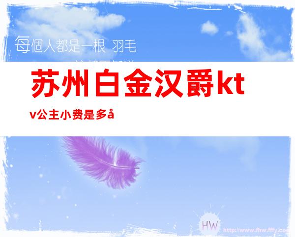 苏州白金汉爵ktv公主小费是多少()