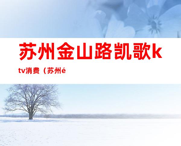 苏州金山路凯歌ktv消费(苏州金殿ktv)