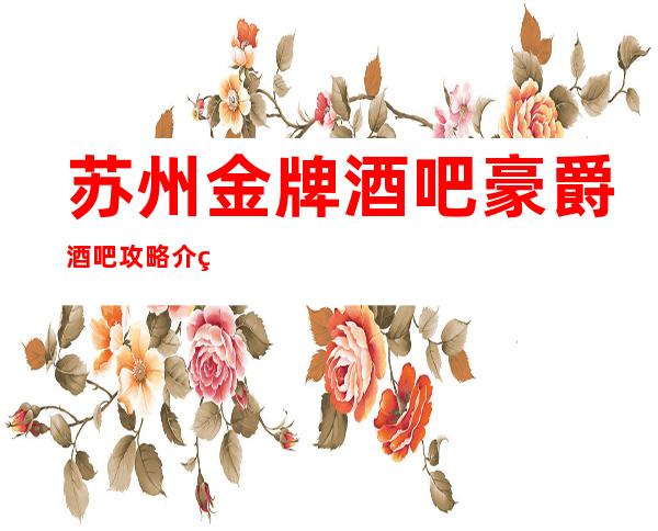苏州金牌酒吧豪爵酒吧攻略介绍-风中的节奏就像你的温柔来体验吧