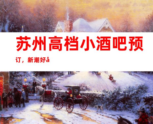 苏州高档小酒吧预订，新潮好去处探店已准备好就等你来