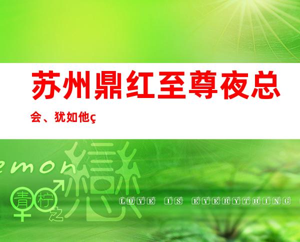 苏州鼎红至尊夜总会、犹如他的名字一般红火的高档KTV