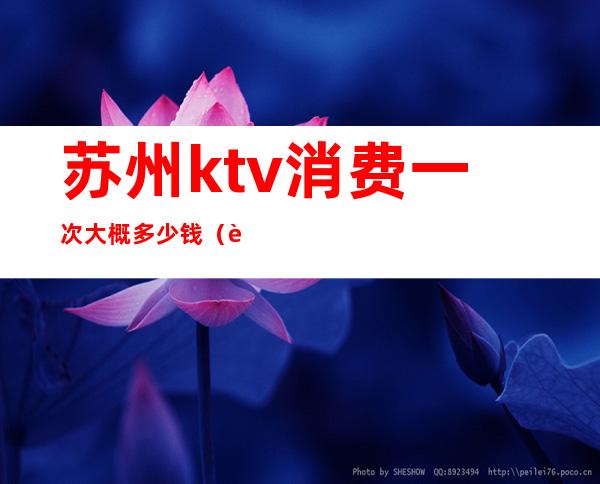 苏州ktv消费一次大概多少钱(苏州有多少家KTV)