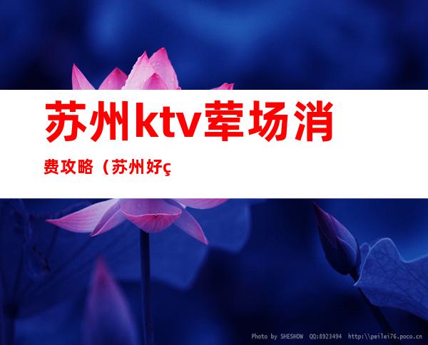 苏州ktv荤场消费攻略(苏州好玩的ktv场子)