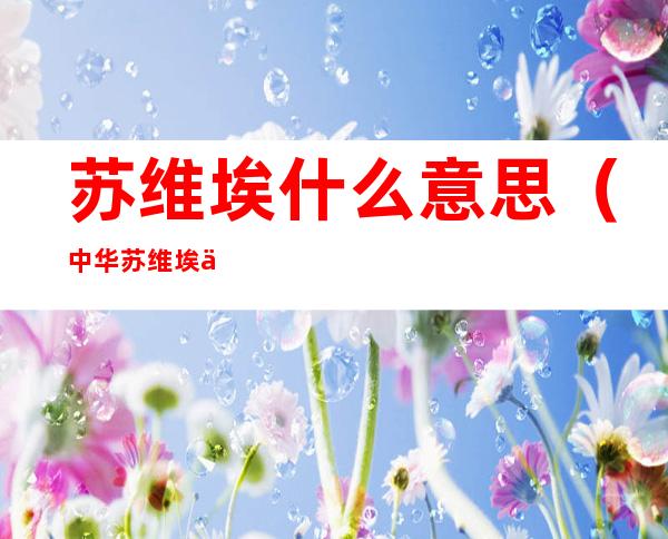 苏维埃什么意思(中华苏维埃什么意思)