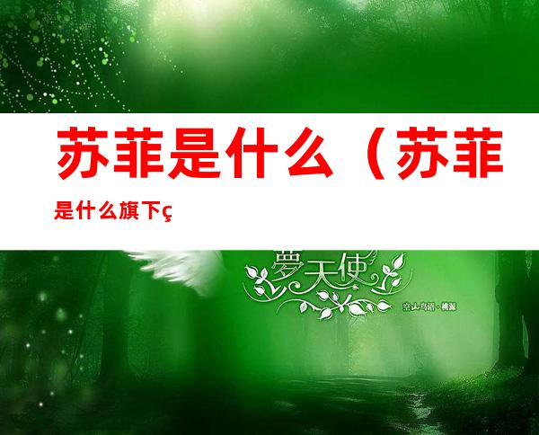 苏菲是什么(苏菲是什么旗下的)