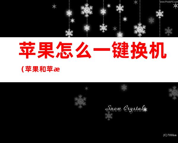 苹果怎么一键换机(苹果和苹果怎么一键换机)