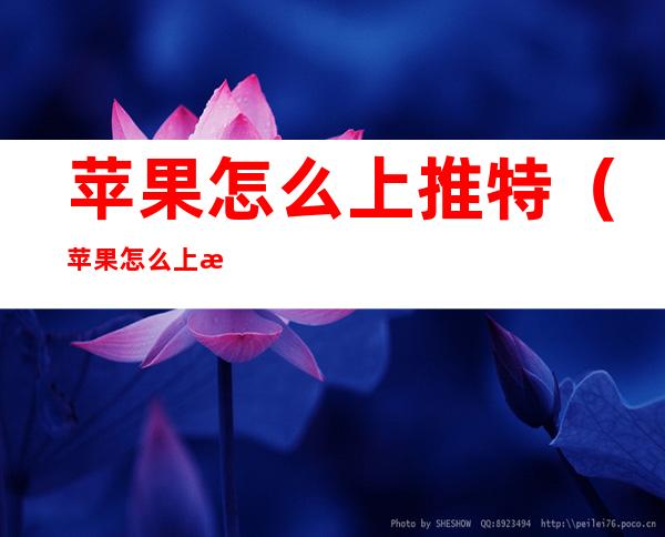 苹果怎么上推特（苹果怎么上推特视频）