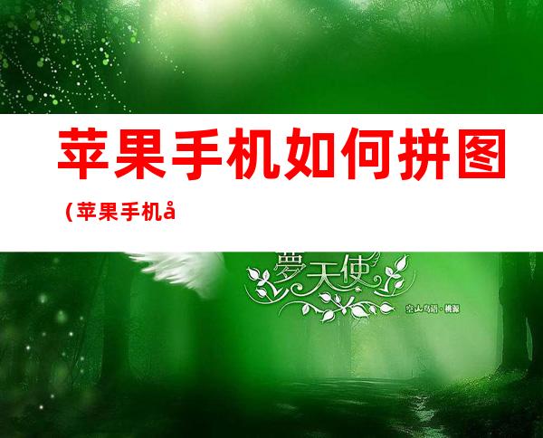 苹果手机如何拼图(苹果手机如何拼图组合照片)