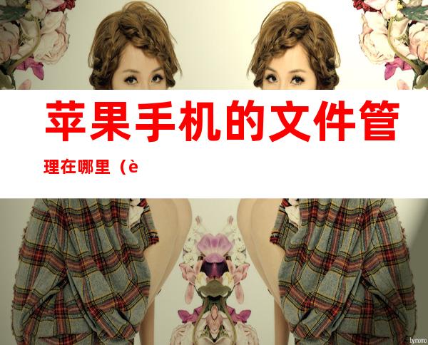 苹果手机的文件管理在哪里(苹果手机的文件管理在哪里找图文)