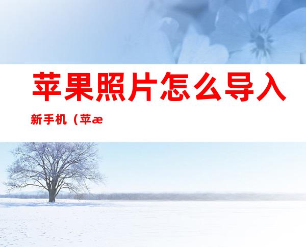 苹果照片怎么导入新手机(苹果照片怎么导入新手机用什么软件)