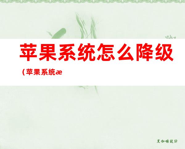 苹果系统怎么降级(苹果系统怎么降级原来版本)