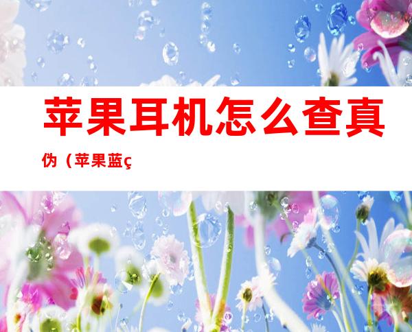苹果耳机怎么查真伪(苹果蓝牙耳机怎么查真伪)