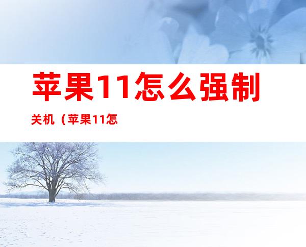 苹果11怎么强制关机(苹果11怎么强制关机重启)