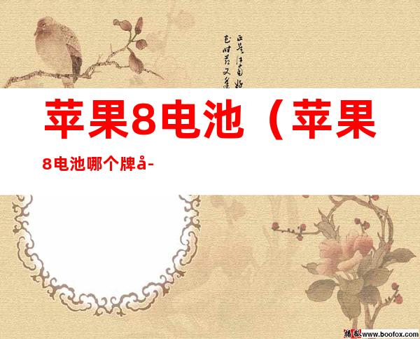 苹果8电池(苹果8电池哪个牌子质量好)