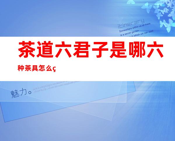 茶道六君子是哪六种茶具怎么用(茶道六君子是哪六种茶具怎么用昵茶网)