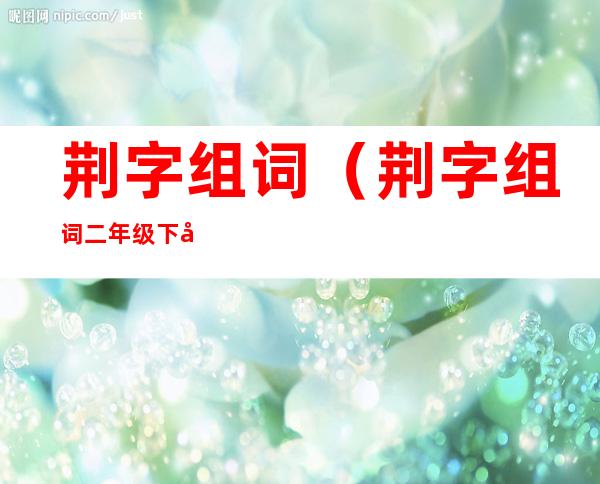荆字组词（荆字组词二年级下册）