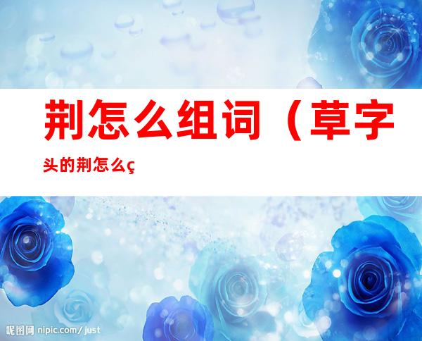 荆怎么组词（草字头的荆怎么组词）