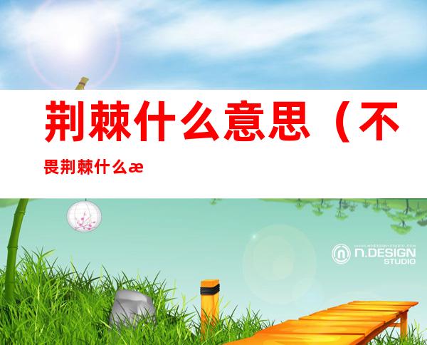 荆棘什么意思(不畏荆棘什么意思)