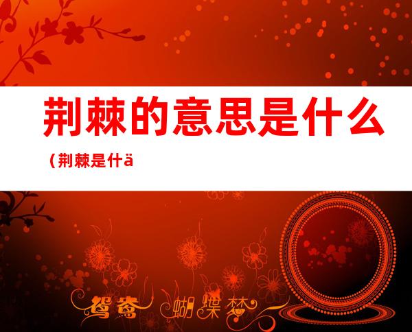 荆棘的意思是什么(荆棘是什么意思)