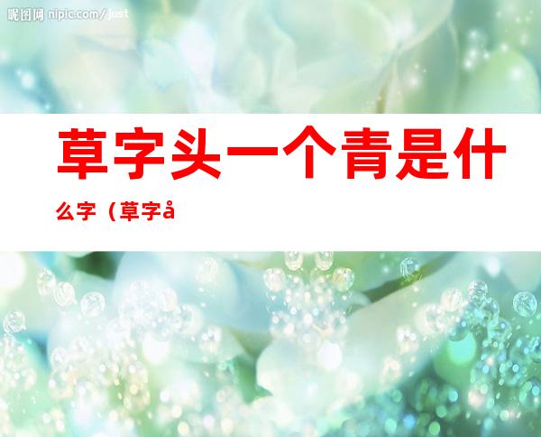 草字头一个青是什么字(草字头一个青字是什么字)