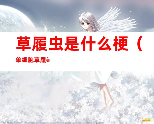 草履虫是什么梗(单细胞草履虫是什么梗)