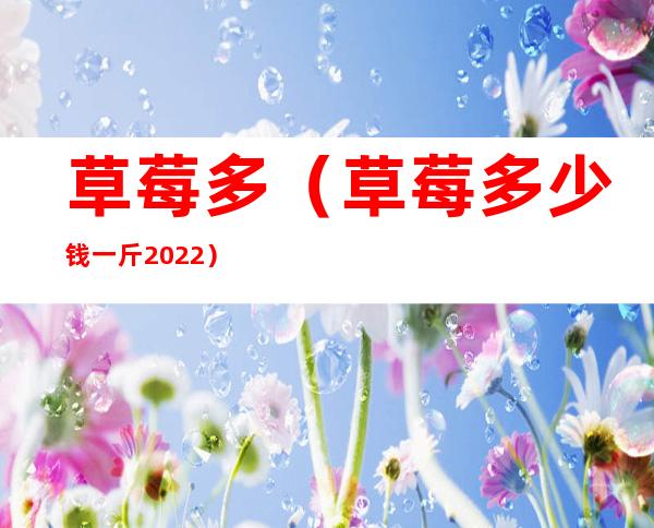 草莓多(草莓多少钱一斤2022)