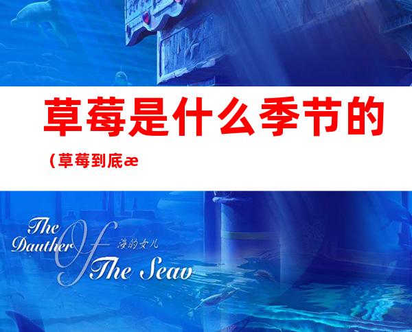 草莓是什么季节的(草莓到底是什么季节的)